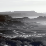 ICE Agent Shoots and Kills Woman During Immigration Operation in Minneapolis