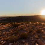 US Immigration Agent Involved in Fatal Shooting of Woman in Minneapolis